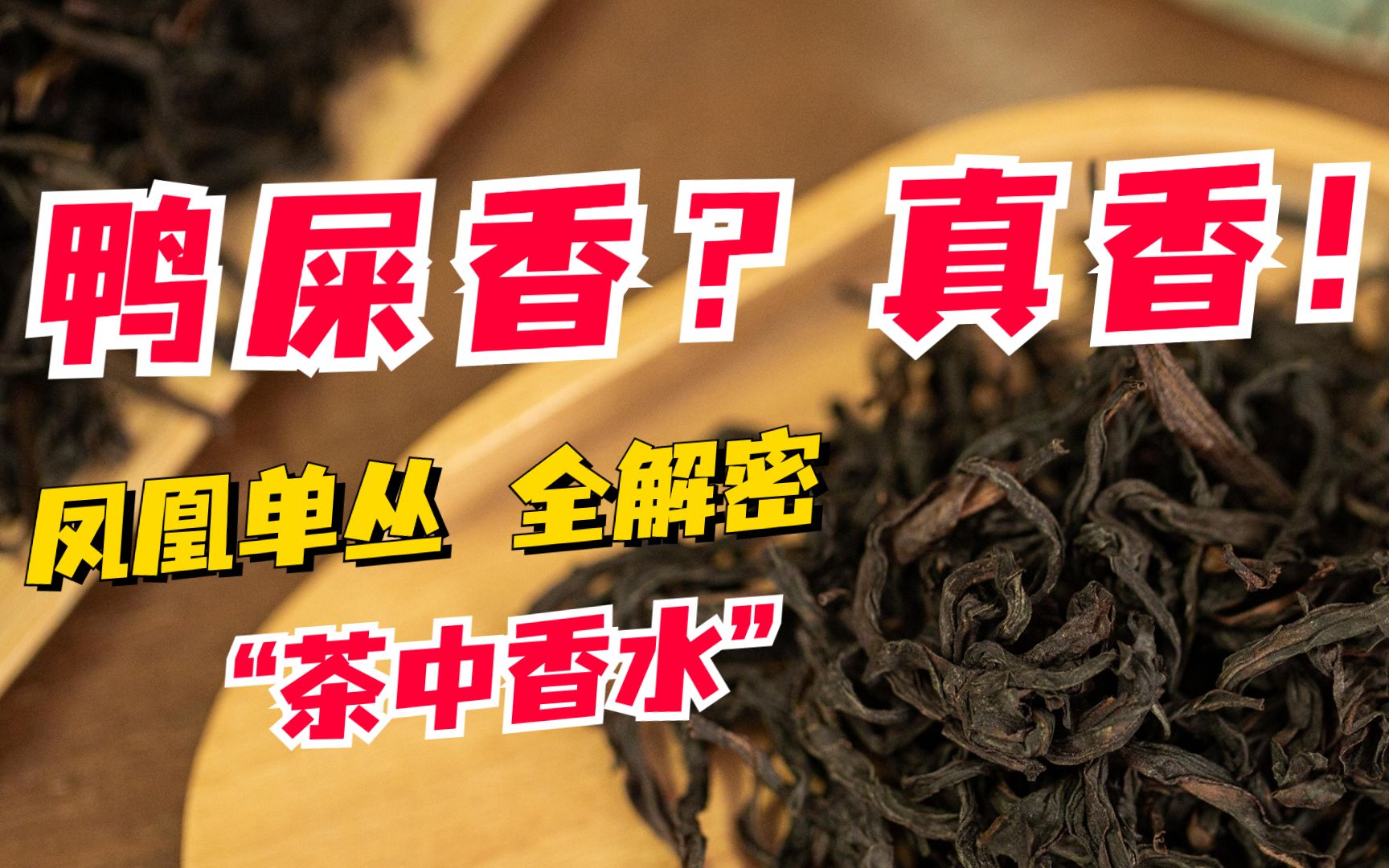 [图]鸭屎香茶，有鸭屎吗？一条视频带你搞懂“最香”的凤凰单丛~ | 凤凰单丛产区、历史、工夫茶指南