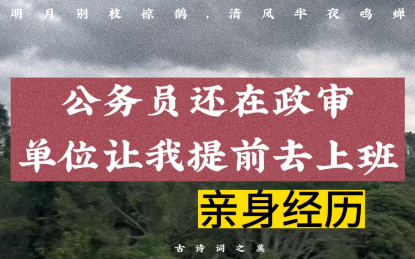 我公务员还在政审期间,单位就已经通知我去上班了哔哩哔哩bilibili