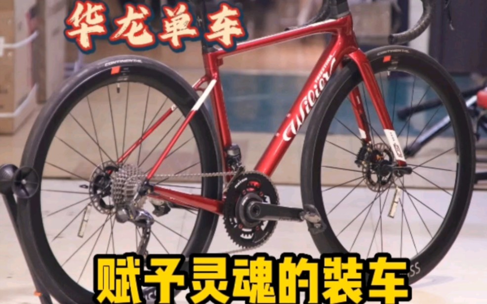 威廉ZERO SLR装车快剪 环法级别公路车 #wilier #shimano #自行车推荐 #华龙单车哔哩哔哩bilibili