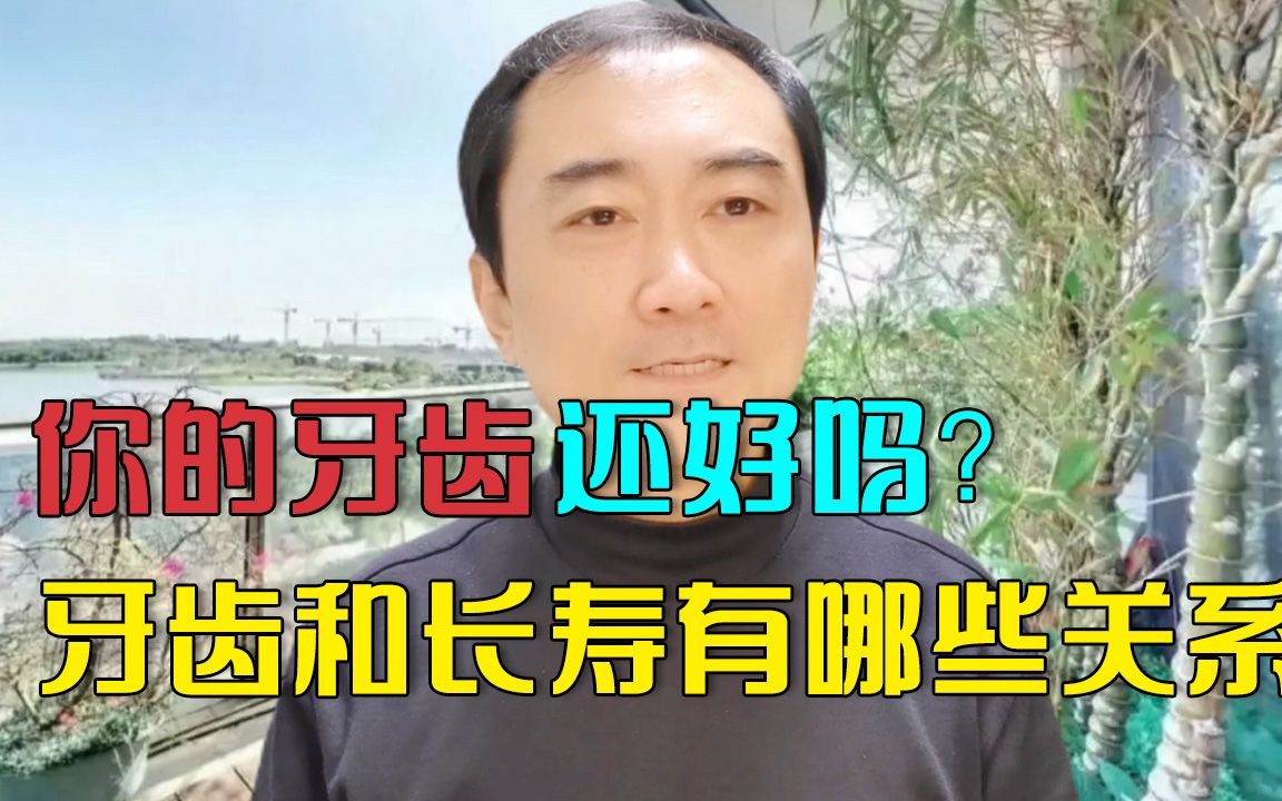 你的牙齿还好吗,牙齿和长寿有哪些关系?哔哩哔哩bilibili