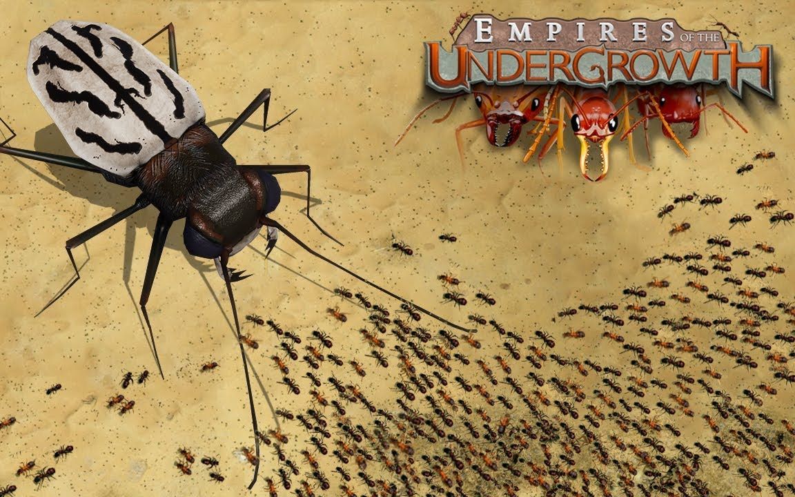 《地下蚁国》死路 - 第2期