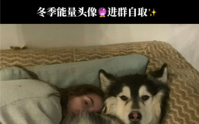 冬季能量头像哔哩哔哩bilibili