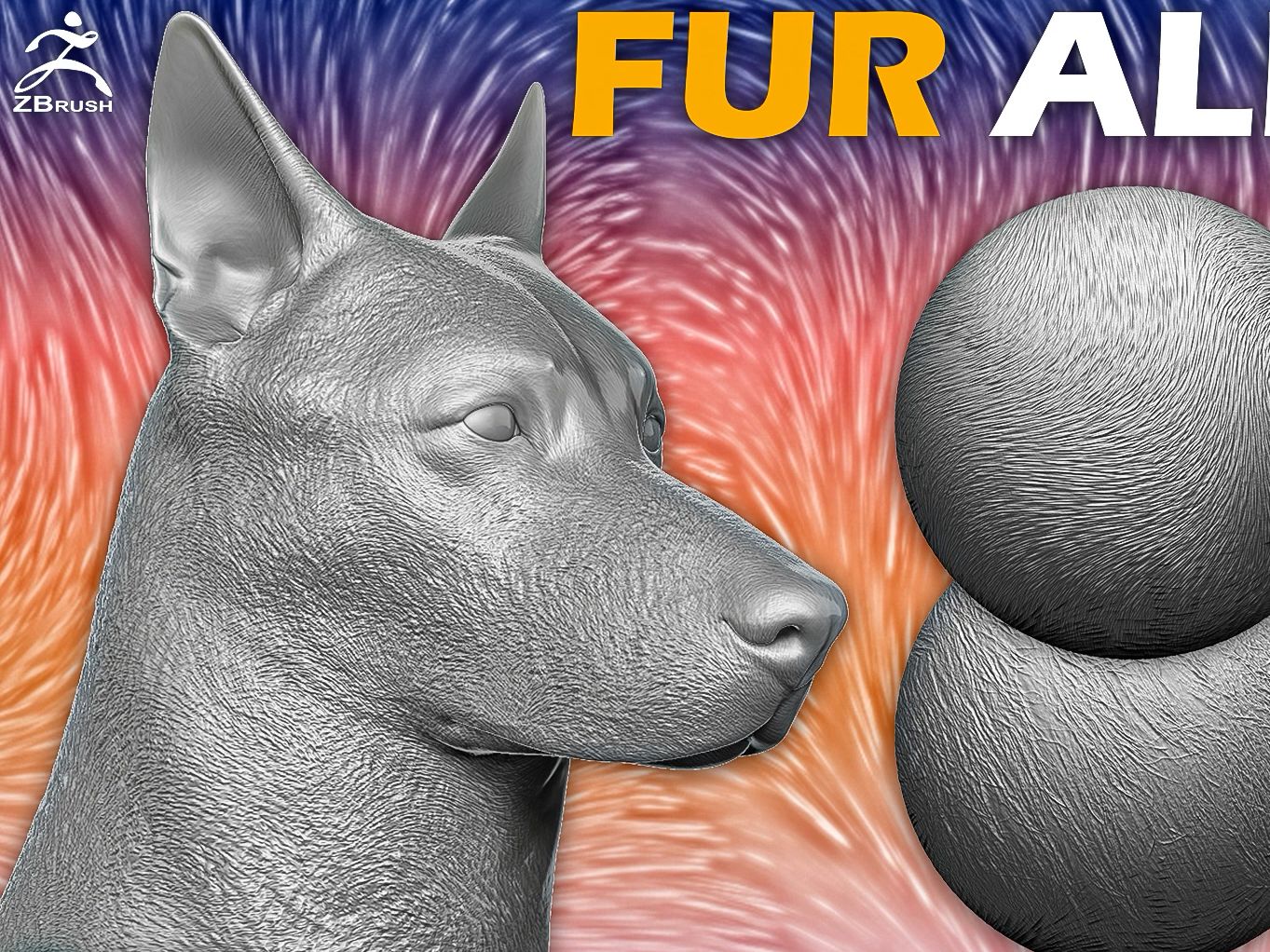 zbrush素材15款狼狗动物毛皮毛发alpha笔刷zb雕刻bmp纹理贴图tif