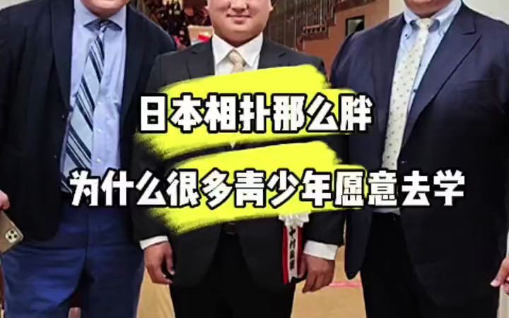 日本文化 日本相扑收入如何哔哩哔哩bilibili