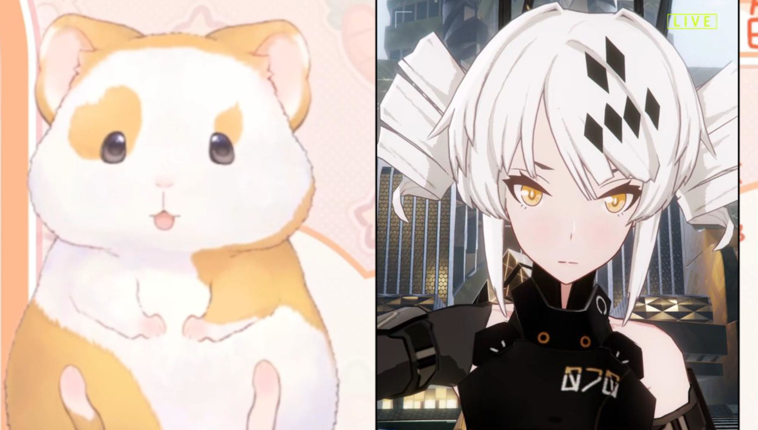 花玲:卡列哪里温柔了呀~朋友