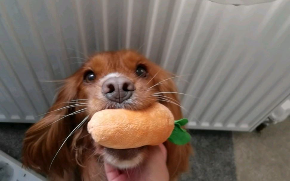 小可卡最新视频网站入口_小可卡最新视频网站入口免费 小可卡最新视频网站入口_小可卡最新视频网站入口免费