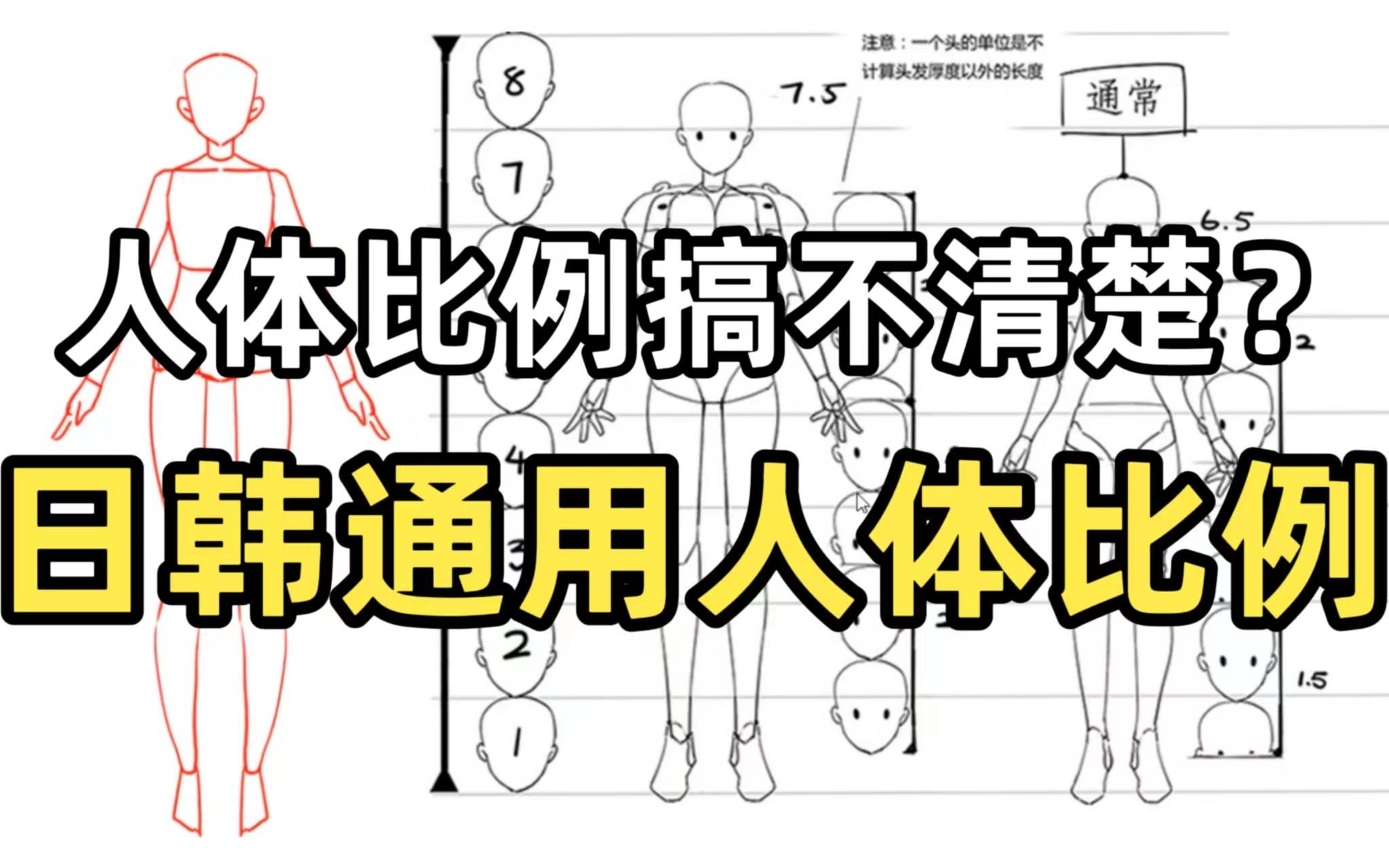 繪畫教程0基礎也能掌握的人體比例萬能公式分分鐘掌握人體比例奧秘