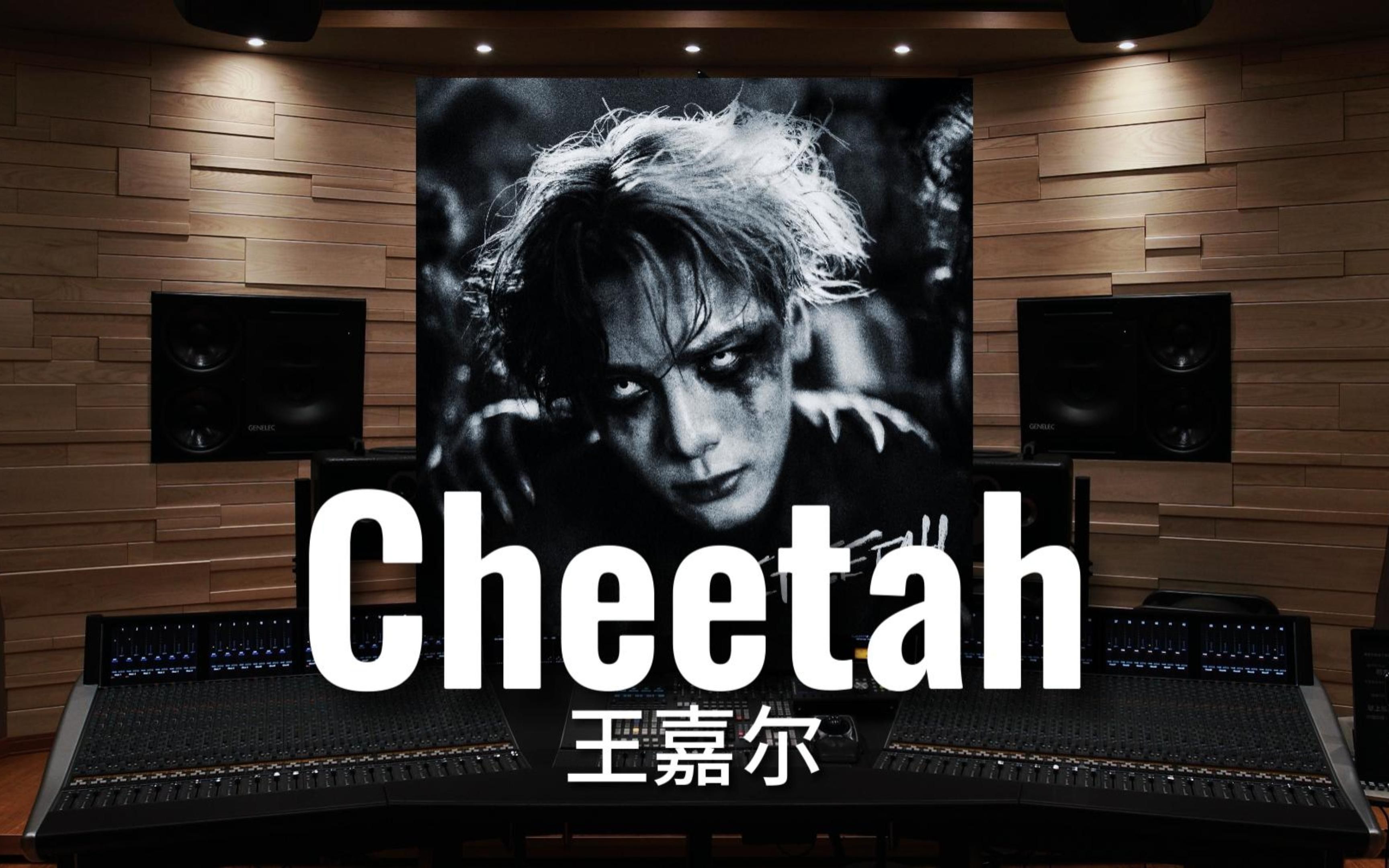 【王嘉尔|Cheetah】百万级录音棚听《Cheetah》王嘉尔2023年首支个人英文单曲【HiRes】哔哩哔哩bilibili