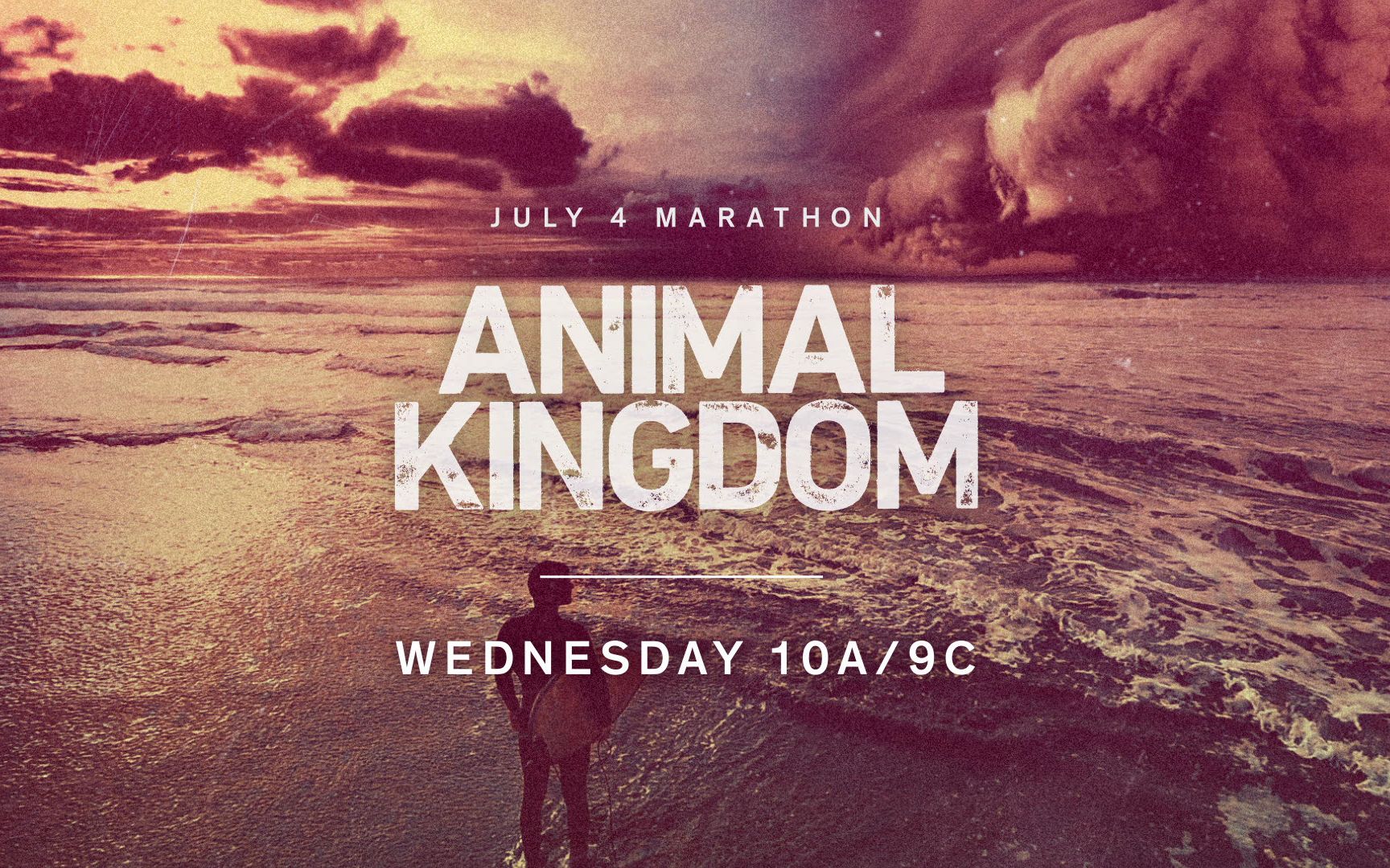 【美剧】TNT《Animal Kingdom》野兽家族第三季 独立日宣传片哔哩哔哩bilibili