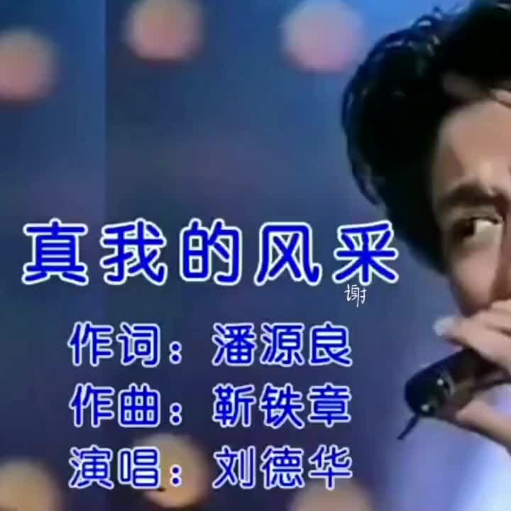 刘德华歌曲真我的风采