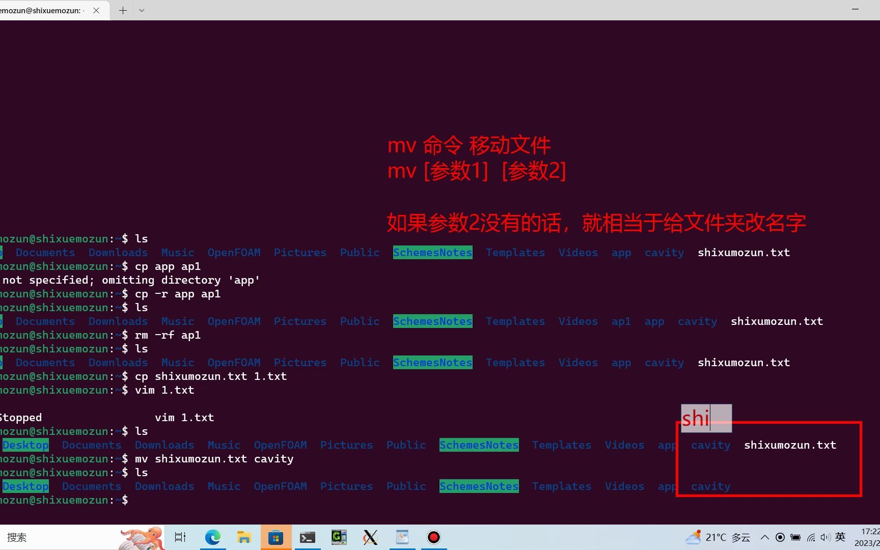 OpenFOAM初识02Linux命令哔哩哔哩bilibili