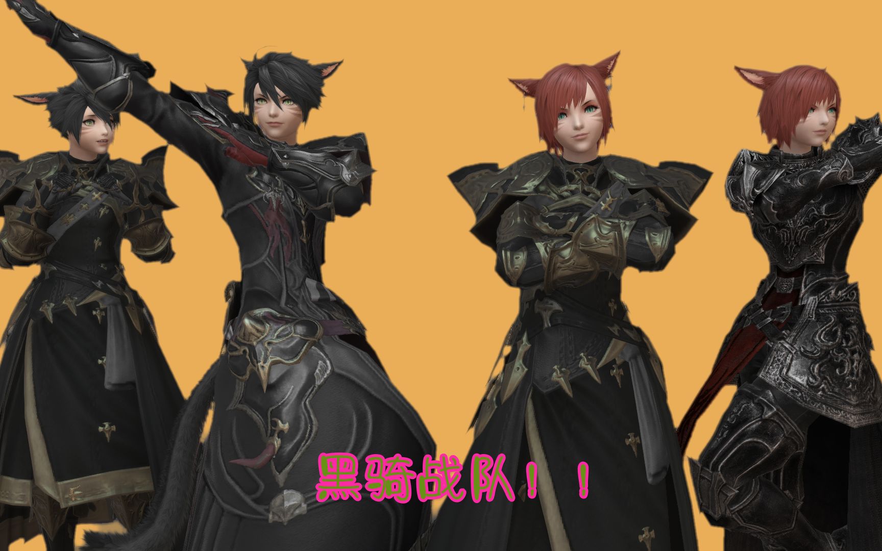 【ff14】黑骑战队!