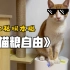 自从小猫会自己按喂食器之后