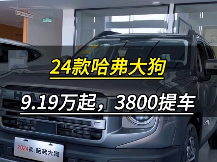 24款哈弗大狗,全系优惠3.2万,裸车9.19万起,首付三千八提车!哔哩哔哩bilibili