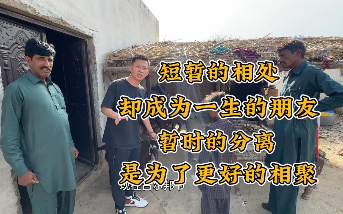 巴铁厨师大哥遇到了困难,直接送他两只羊,帮他度过这个难关.哔哩哔哩bilibili