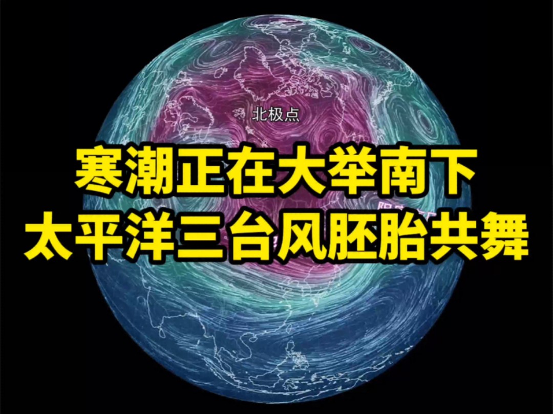 寒潮正在大举南下,太平洋三台风胚胎共舞哔哩哔哩bilibili