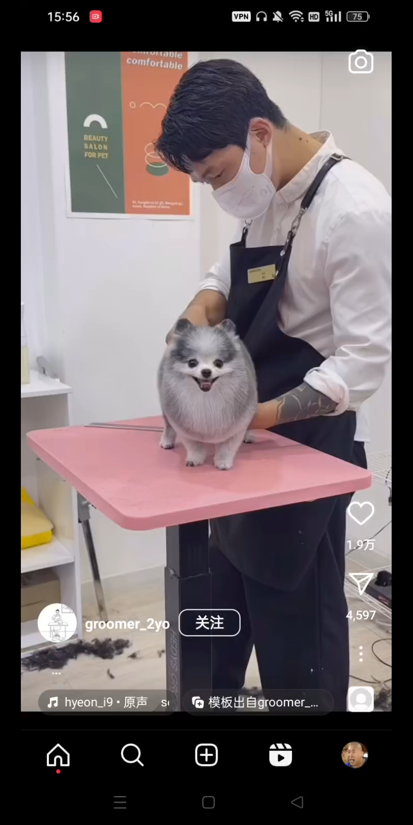 宠物美容师的反转大包