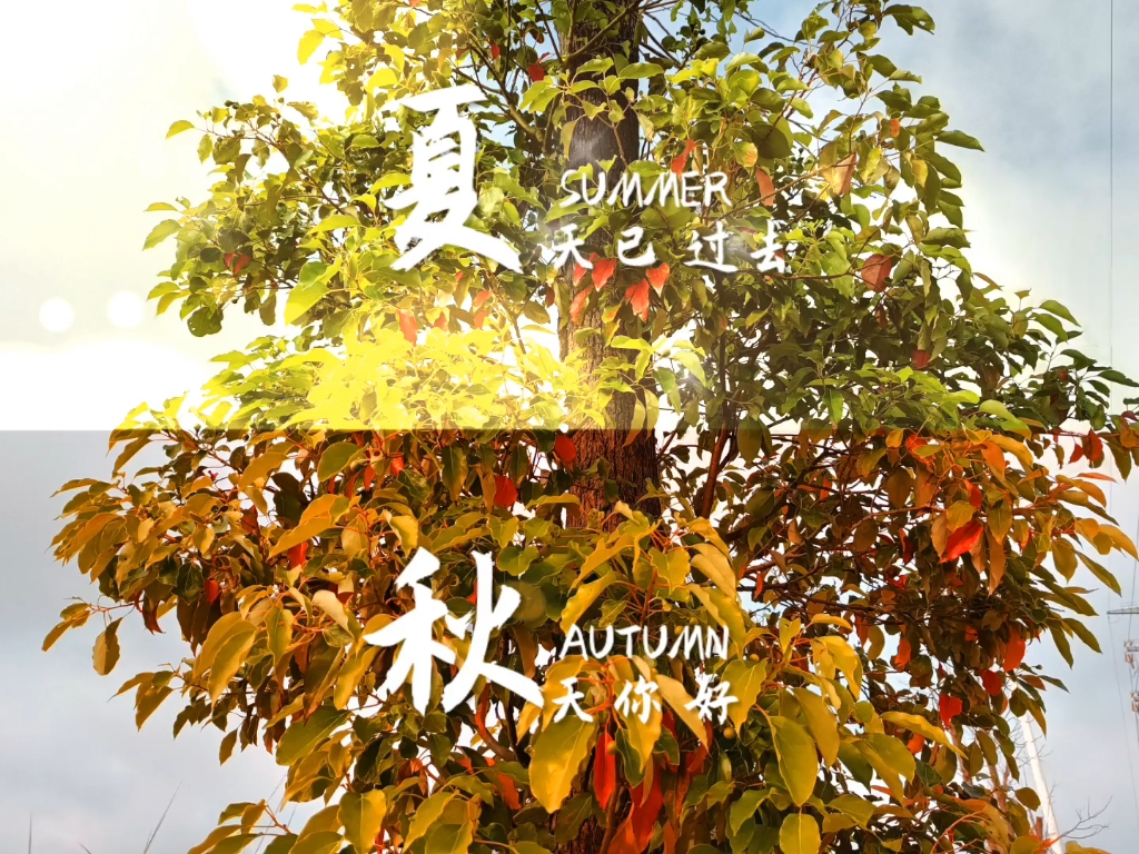 夏去秋来,你我重新来过