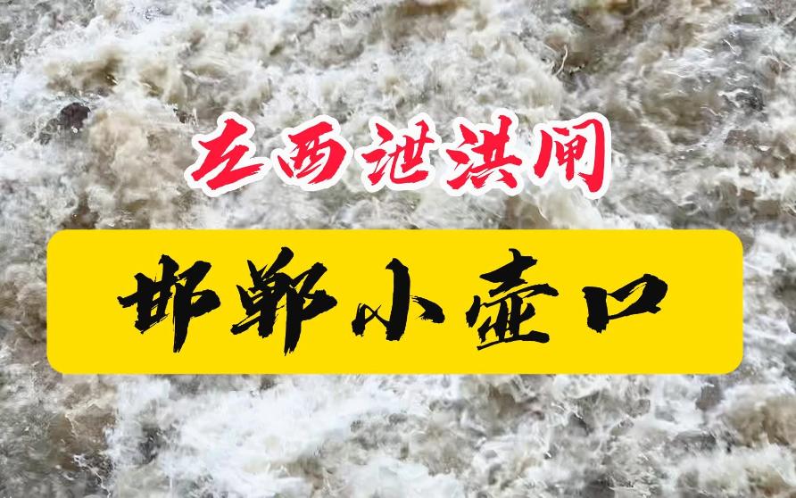 台风过境,大雨连绵,邯郸市区滏阳河水位为何不升反降?哔哩哔哩bilibili