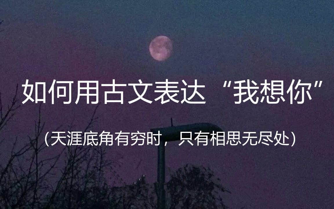 想你是“在天愿作比翼鸟,在地愿为连理枝” 的恩爱相依 | 如何用古文优雅地表达我想你哔哩哔哩bilibili