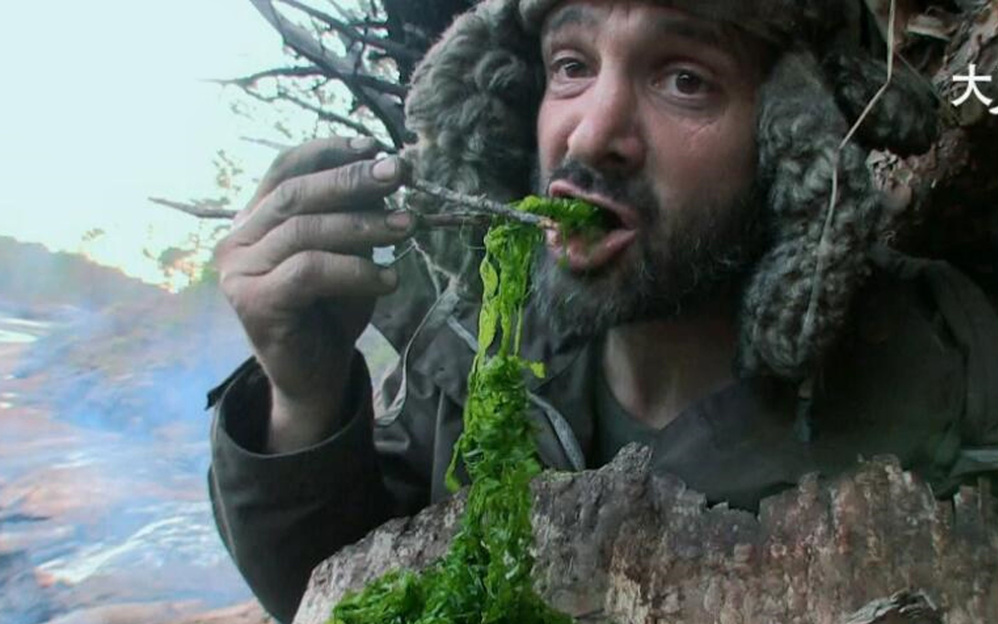 挨饿德美食日记