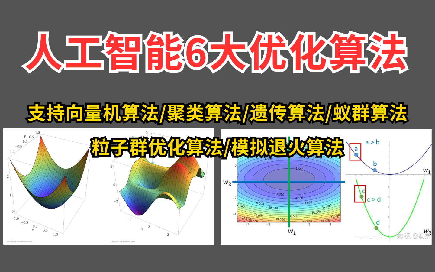 这绝对是我看过最好的6大人工智能优化算法了!支持向量机算法、聚类算法、遗传算法、蚁群算法、粒子群优化算法及模拟退火算法等知识解析 机器学习/...