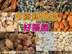 Download Video: 中药药材中的那些好搭档【中药科普】