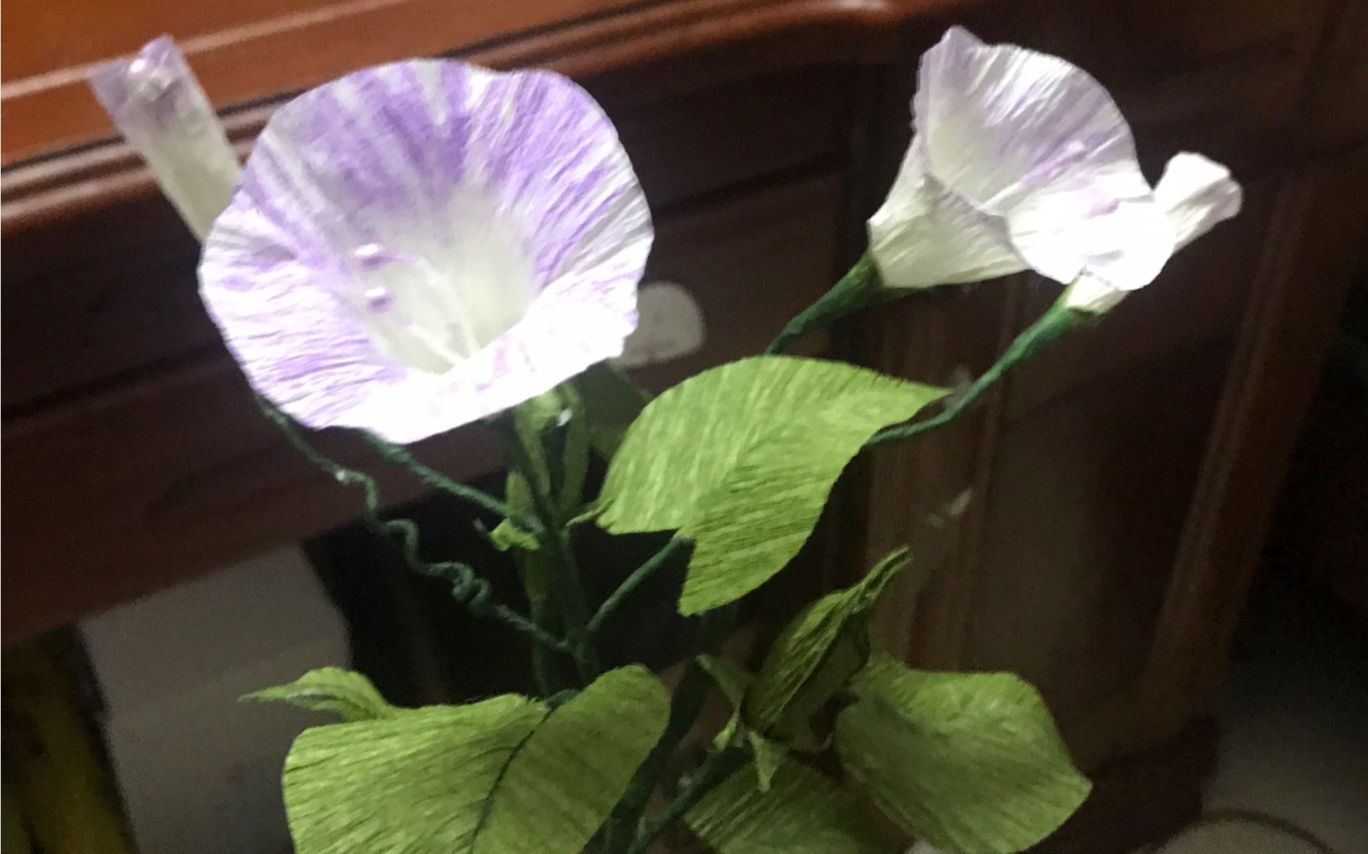 牵牛花皱纹纸制作