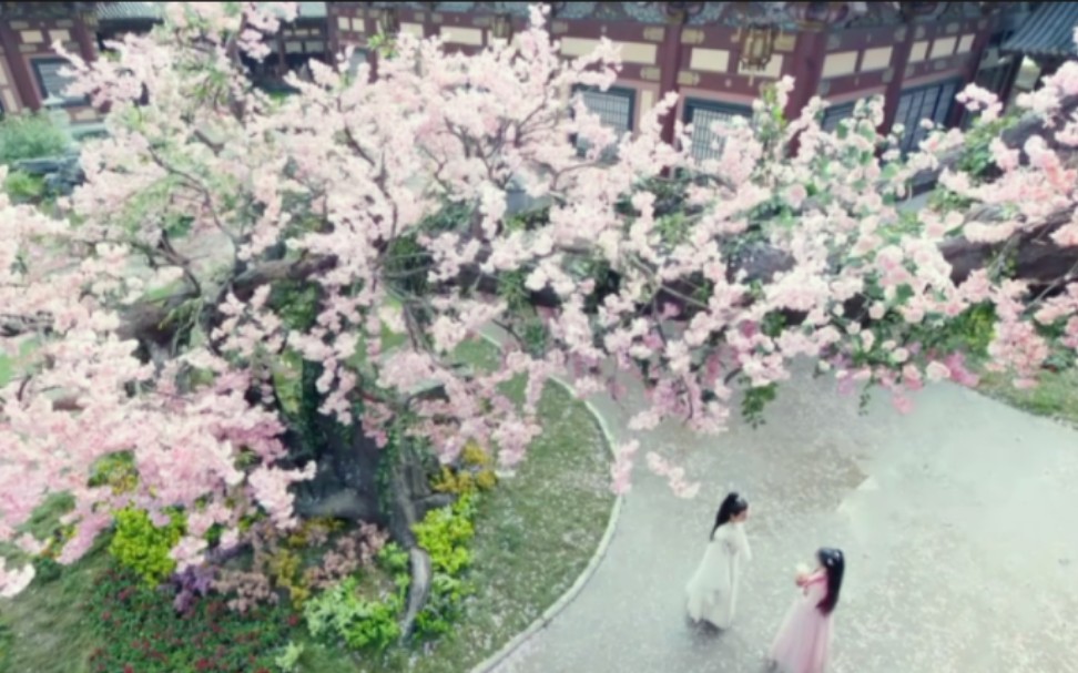 [图]“犹如神灵泽世 日月之盛 春华之茂”