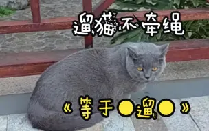 下载视频: 遛猫不牵绳，等于__遛__？