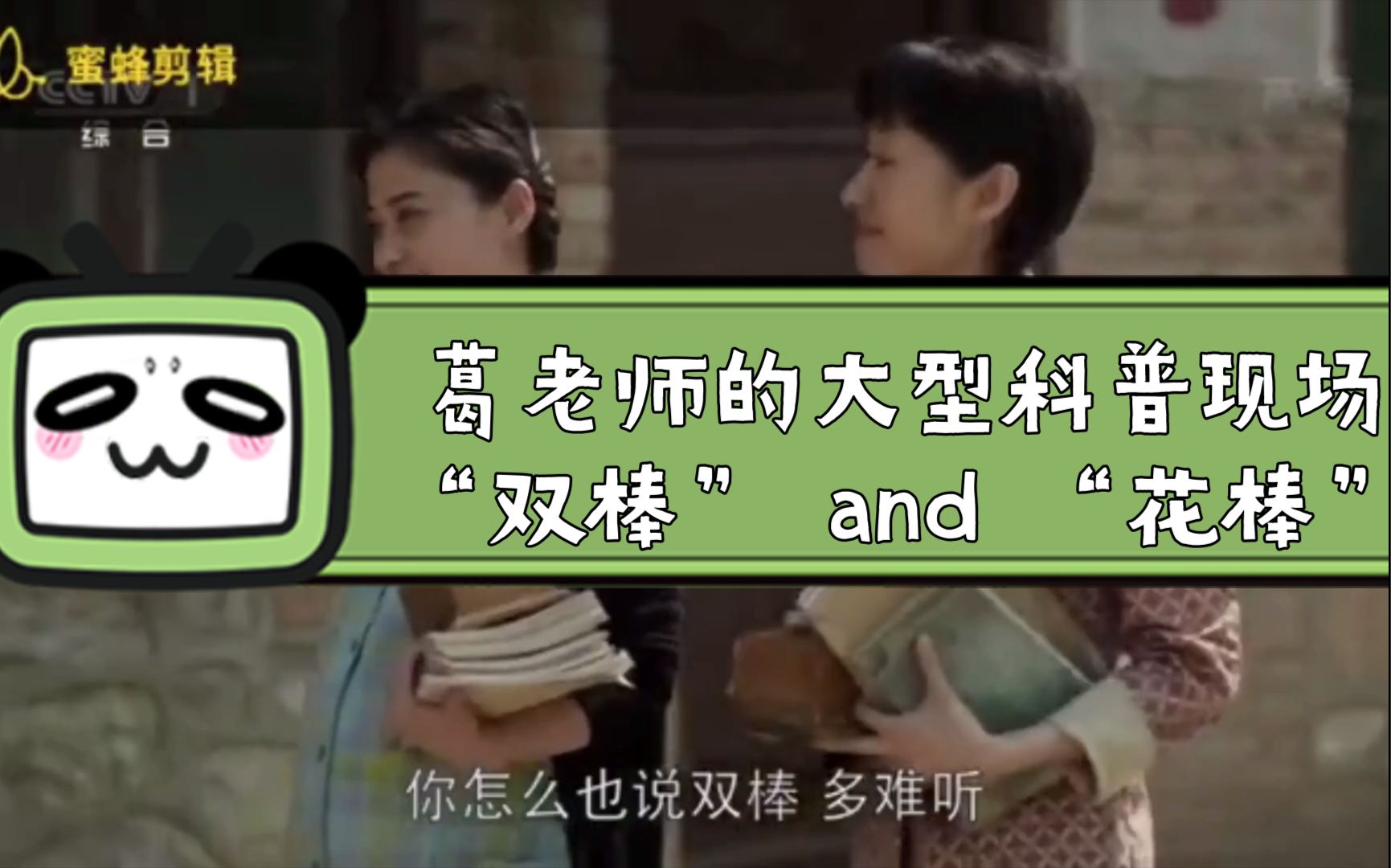 父母爱情15同性双胞胎又称双棒龙凤胎又称花棒原来是葛老师为咱们观众