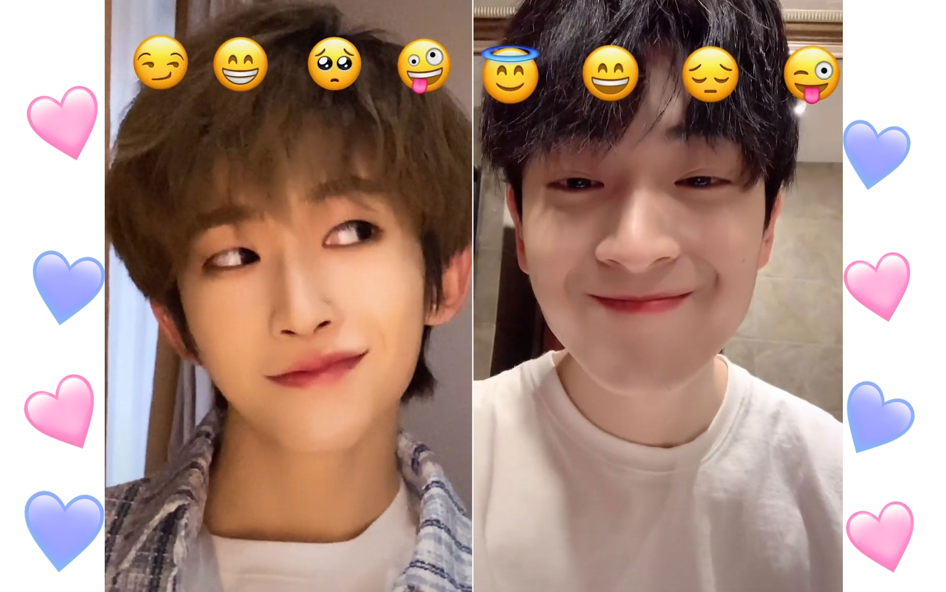 【星辰宇你】王孝辰x刘宇 一条同款抖音 可可爱爱没有脑袋