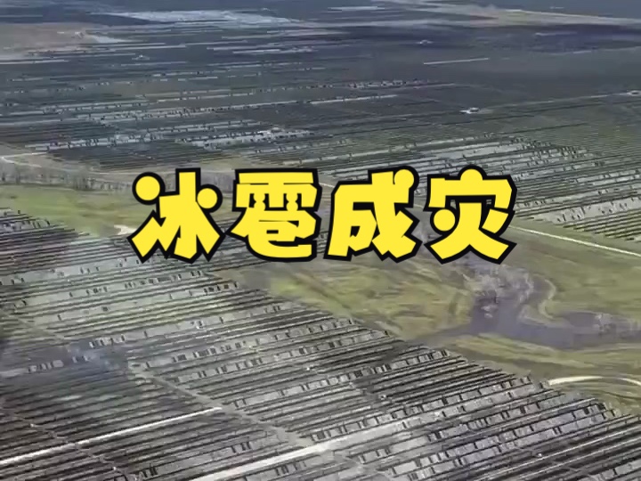 冰雹天气严重破坏美国得州太阳能设施