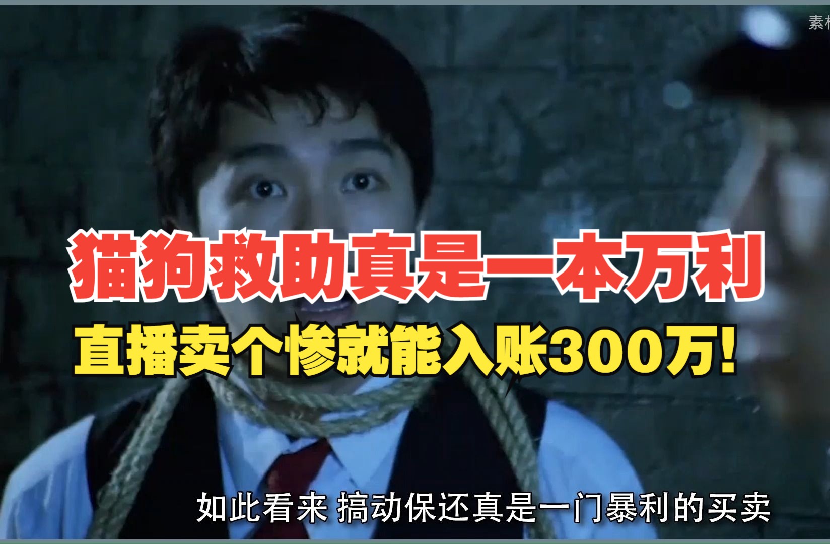 猫狗救助真的是一本万利,直播卖个惨就能入账300万!