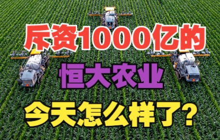 号称斥资1000亿的恒大农业,今天怎么样了?哔哩哔哩bilibili