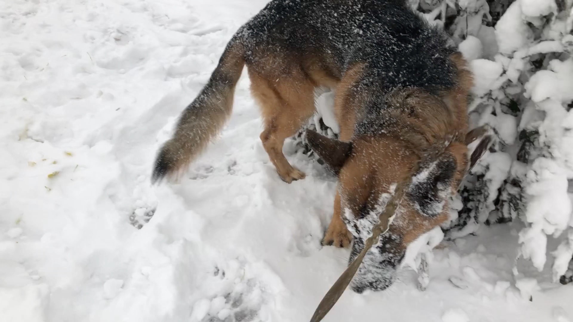 [图]下著的雪 停下來的人