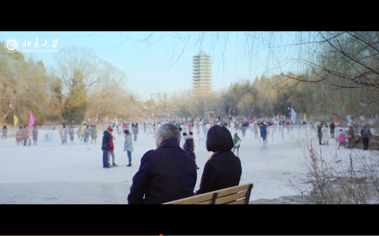 北大学人七夕特辑 | 程和平院士与肖瑞平教授,当科研遇上爱情哔哩哔哩bilibili