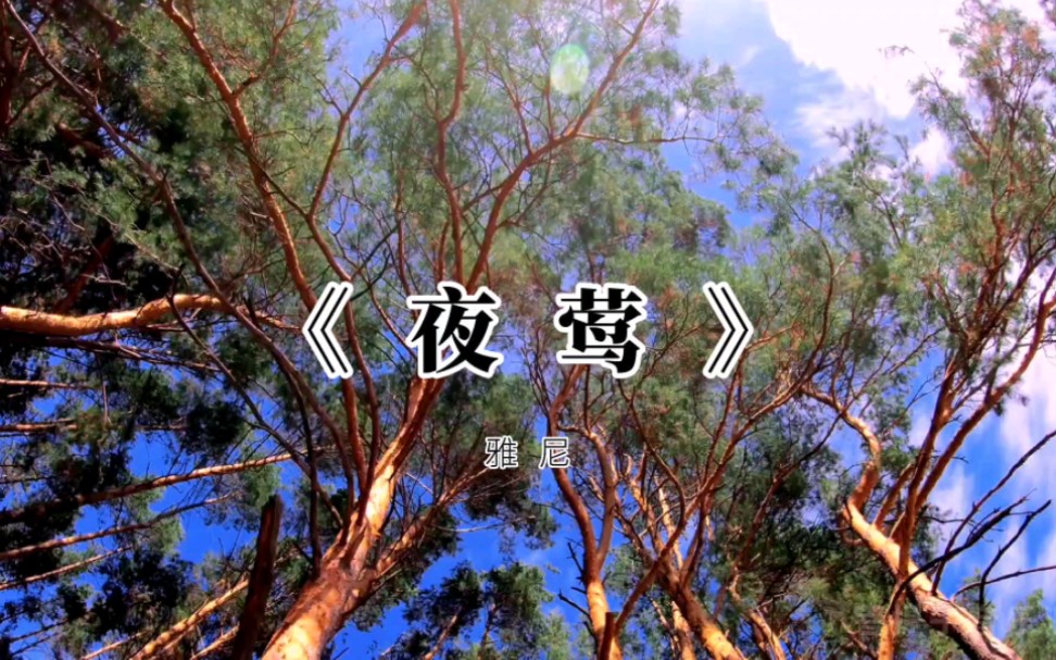 世界名曲雅尼出品《夜莺》,灵魂之音,涤荡心灵哔哩哔哩bilibili