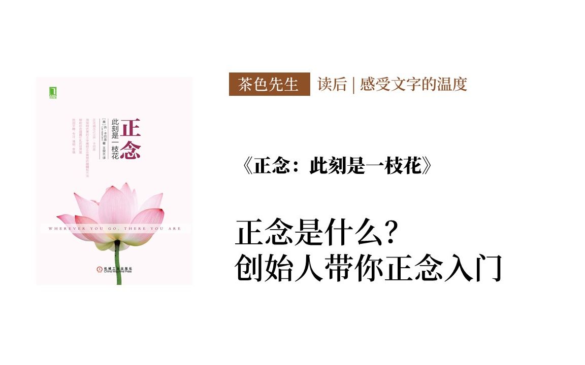 正念是什么?创始人带你正念入门 | 《正念:此刻是一枝花》|向世界安利的第11本书哔哩哔哩bilibili