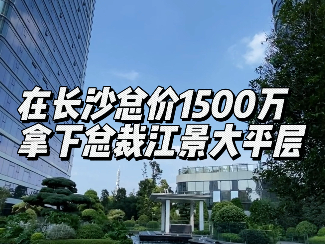 在长沙总价1500万,拿下总裁的顶级江景大平层,这里是长沙亿万富豪的集中地哔哩哔哩bilibili