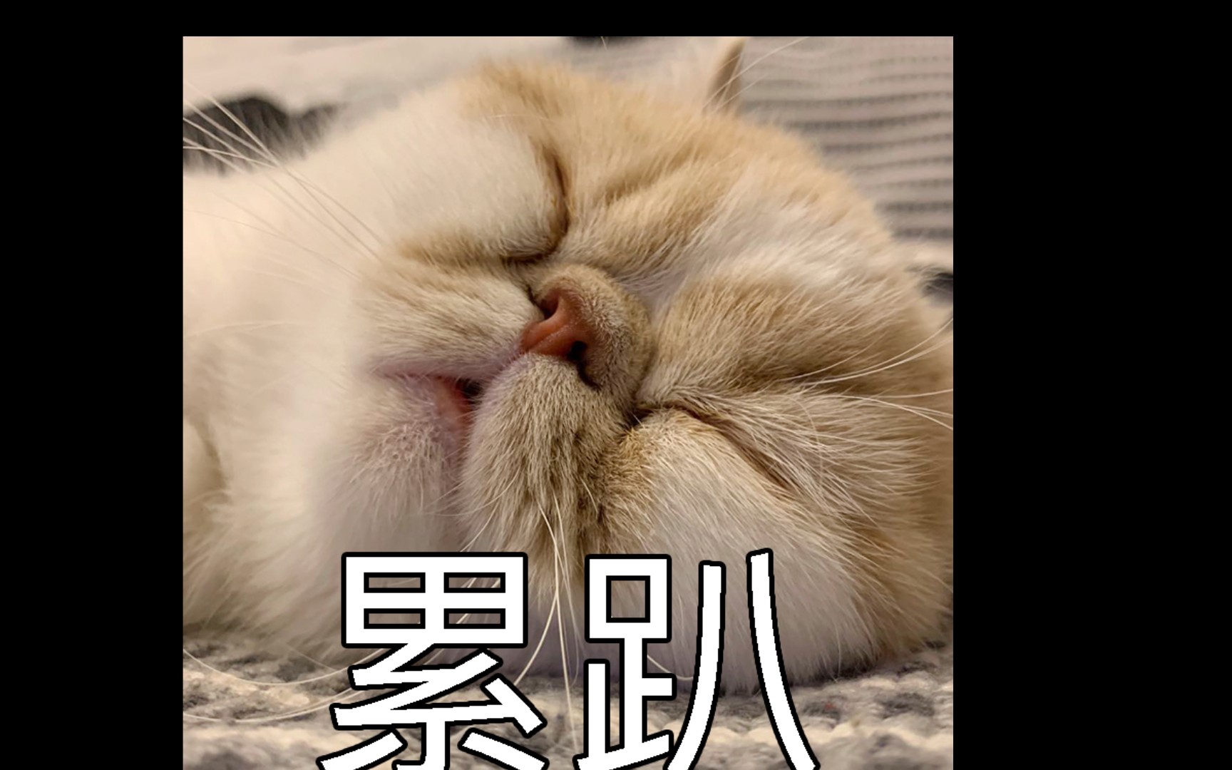 【乘风归去】关于精力和保护眼睛√结尾有套哥在997815