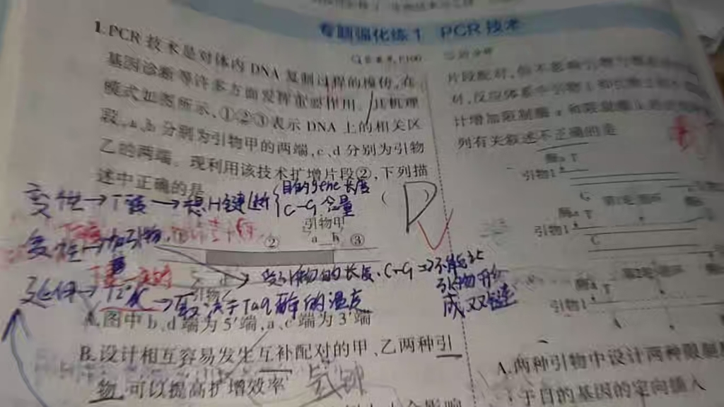 [图]高中生物pcr操作中变性，复性，延伸三个阶段中温度对其的影响