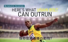 保特(Usain Bolt)能跑赢哪些动物 (中文字幕)哔哩哔哩bilibili