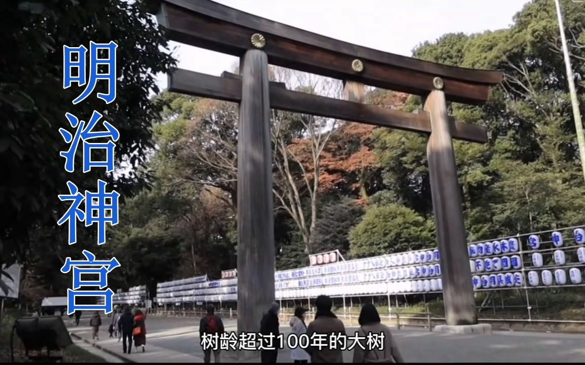 [图]【漫步日本】东京必游景点，明治神宫（上）