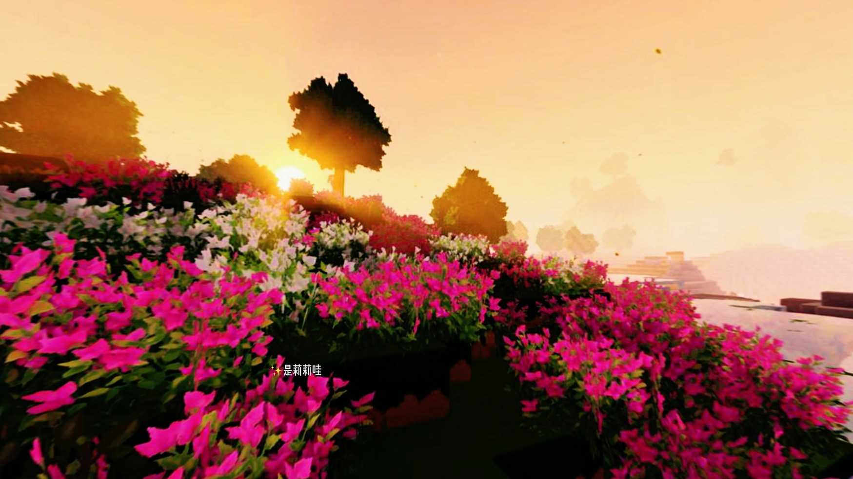 迷你世界绽放版本地形抢先体验