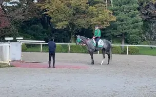 Скачать видео: 『黄金船产驹』看清来人是和田叔叔后扭头离开的麦提