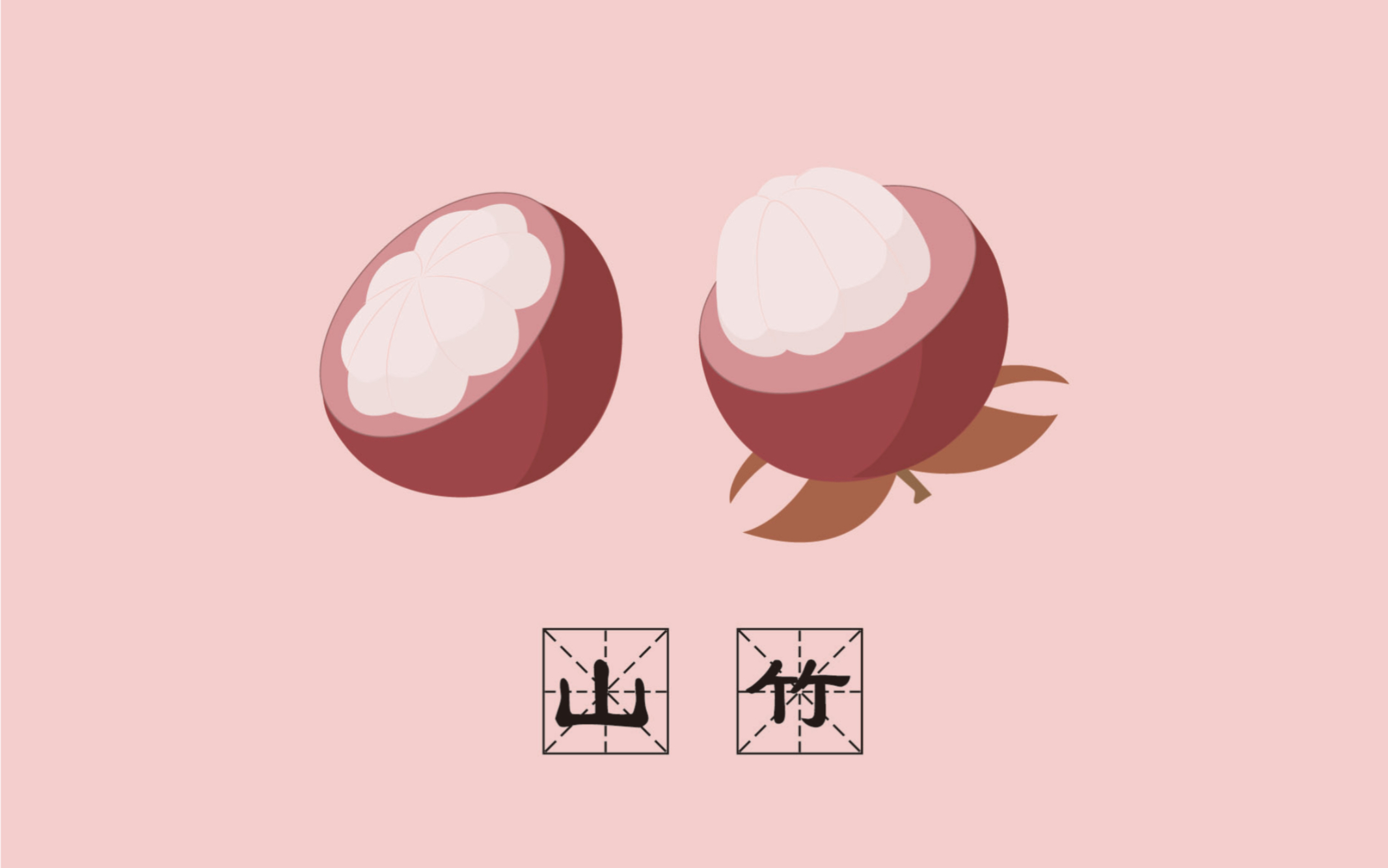 ai插画临摹,山竹