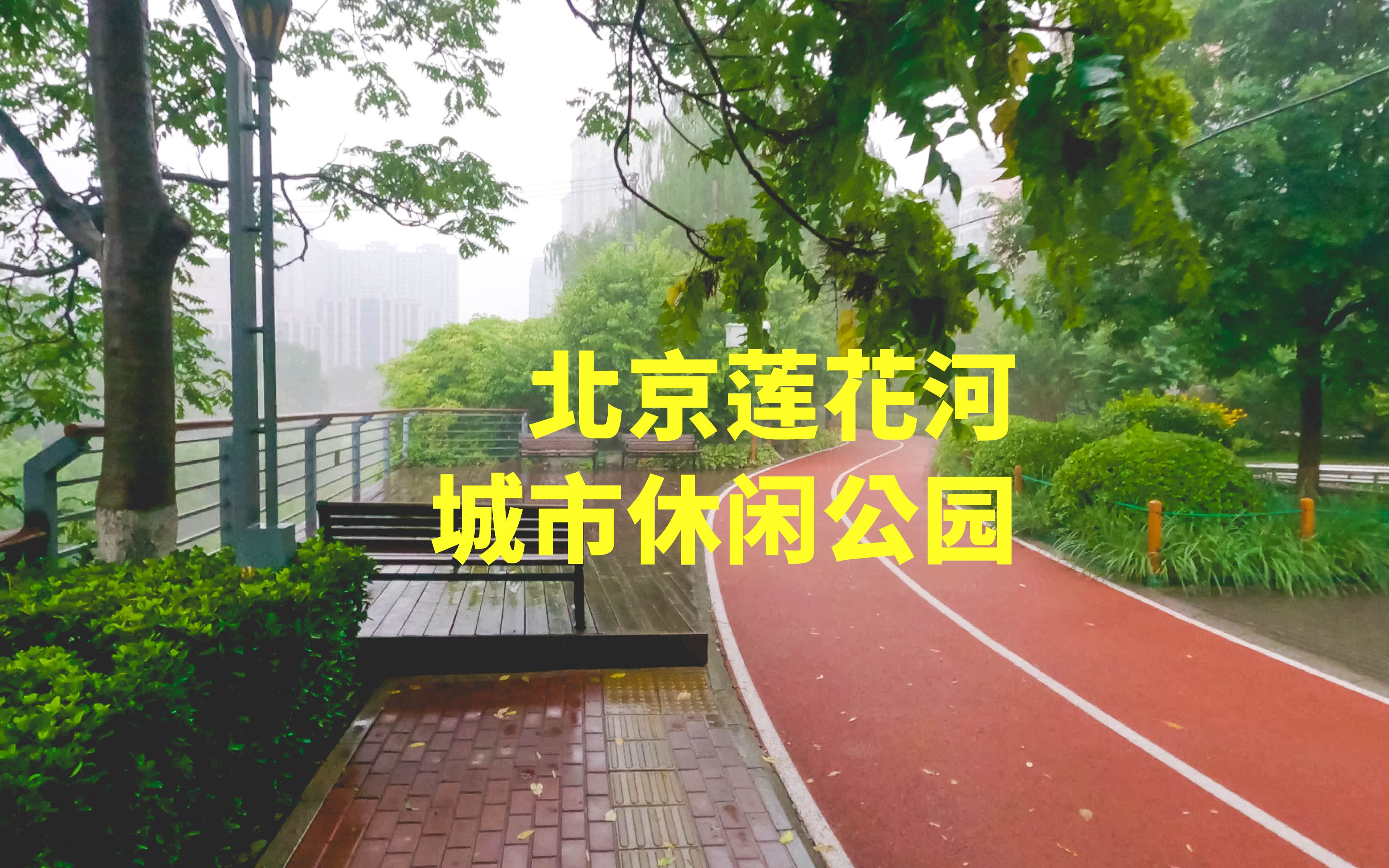 【高清云游】北京莲花河城市休闲公园  雨声 鸟鸣 钢琴 治愈 减压 助眠哔哩哔哩bilibili