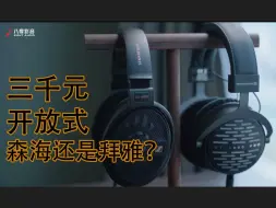 Download Video: 【HD660S2 | DT1990 PRO】如果在三千块预算下选一个开放式头戴耳机，你会选择森海塞尔还是拜雅？