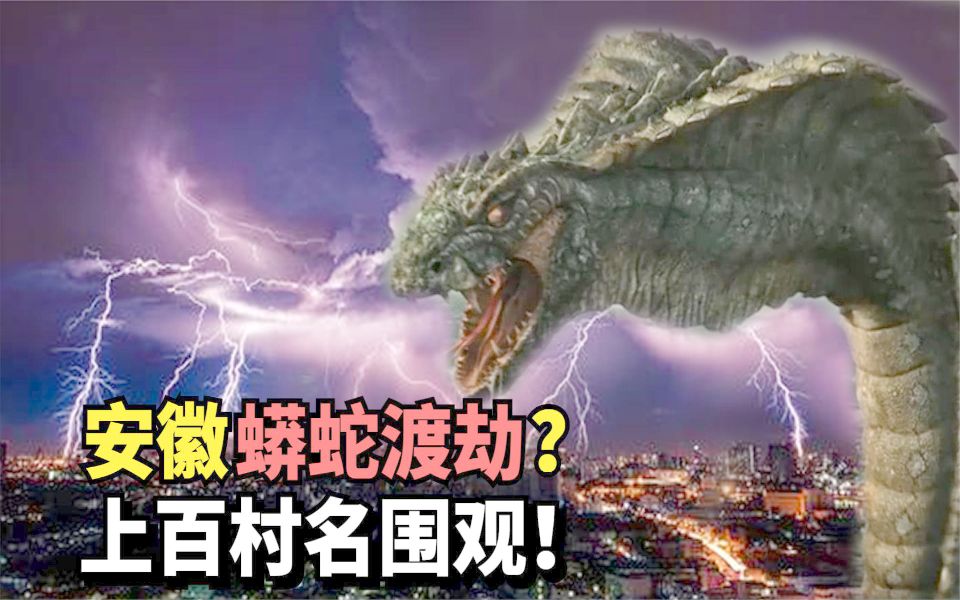 安徽惊现巨蟒渡劫引来上百村名围观到底是真是假